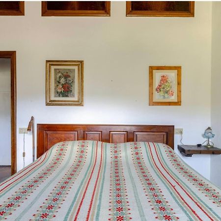 Divinae Cintoia Villa Greve in Chianti Eksteriør billede